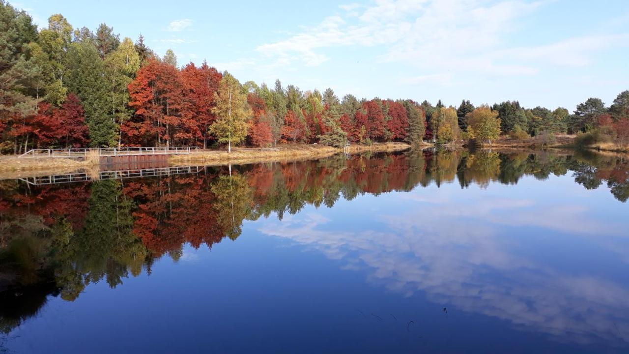 Naturhotel Hof Ehlers Bergen  Buitenkant foto