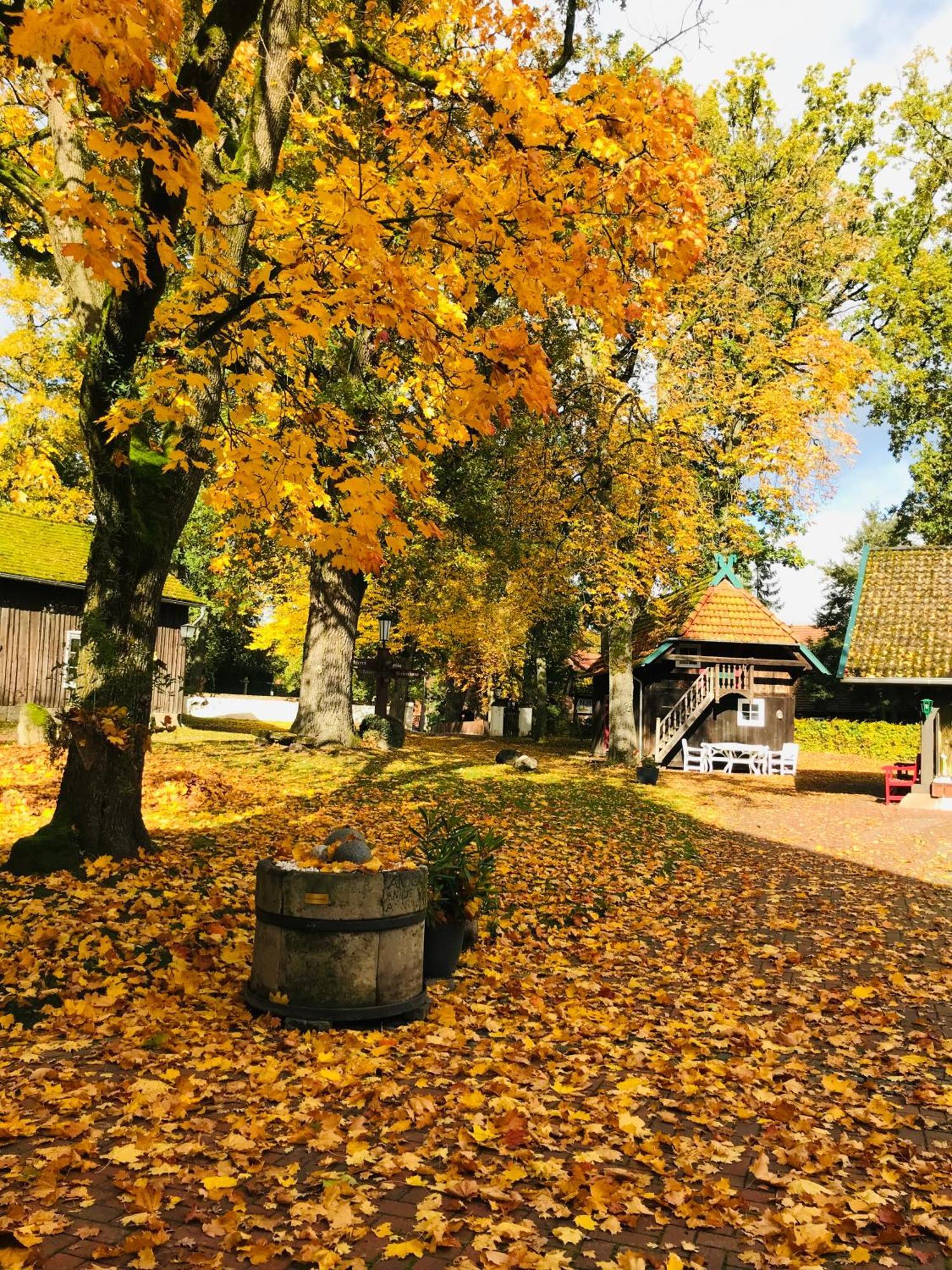 Naturhotel Hof Ehlers Bergen  Buitenkant foto